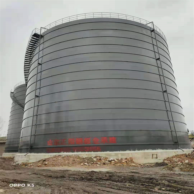 阿荣3万吨大型钢板库