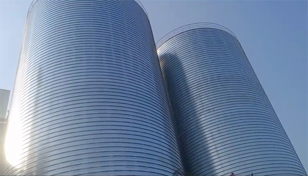 阿荣2座混凝土高架卷板仓